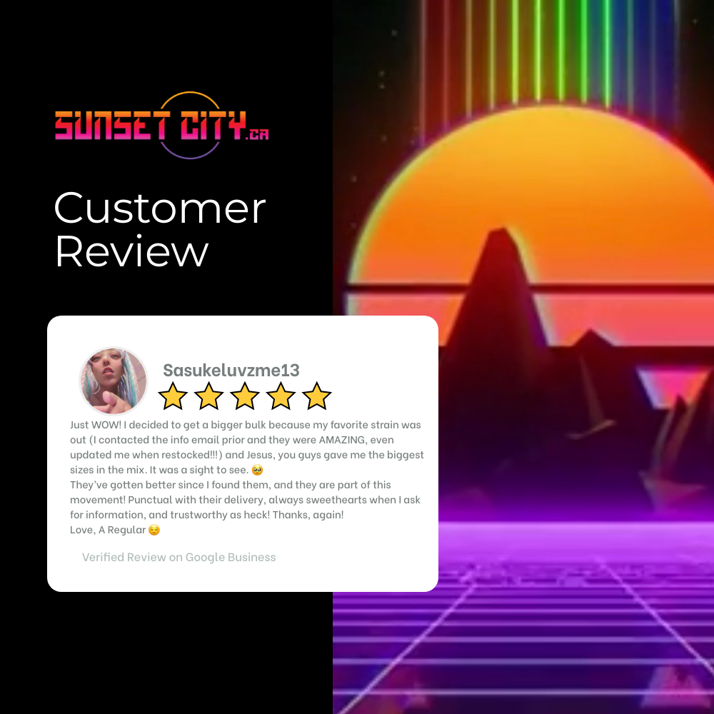 sunsetcity+review