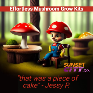 canada grow magic mushrooms