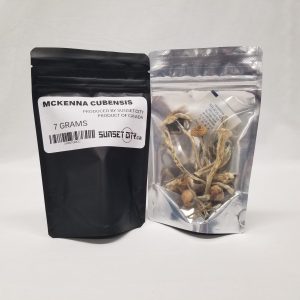 mckenna-cubensis-champignon-magique