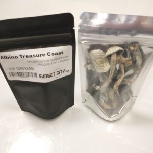 albino-treasure-coast-magic-mushroom
