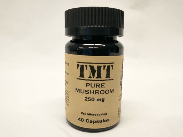 tmt+microdose+magic+mushroom