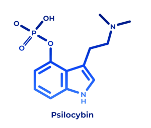 psilocybinmushroomsymbol-300x254.png