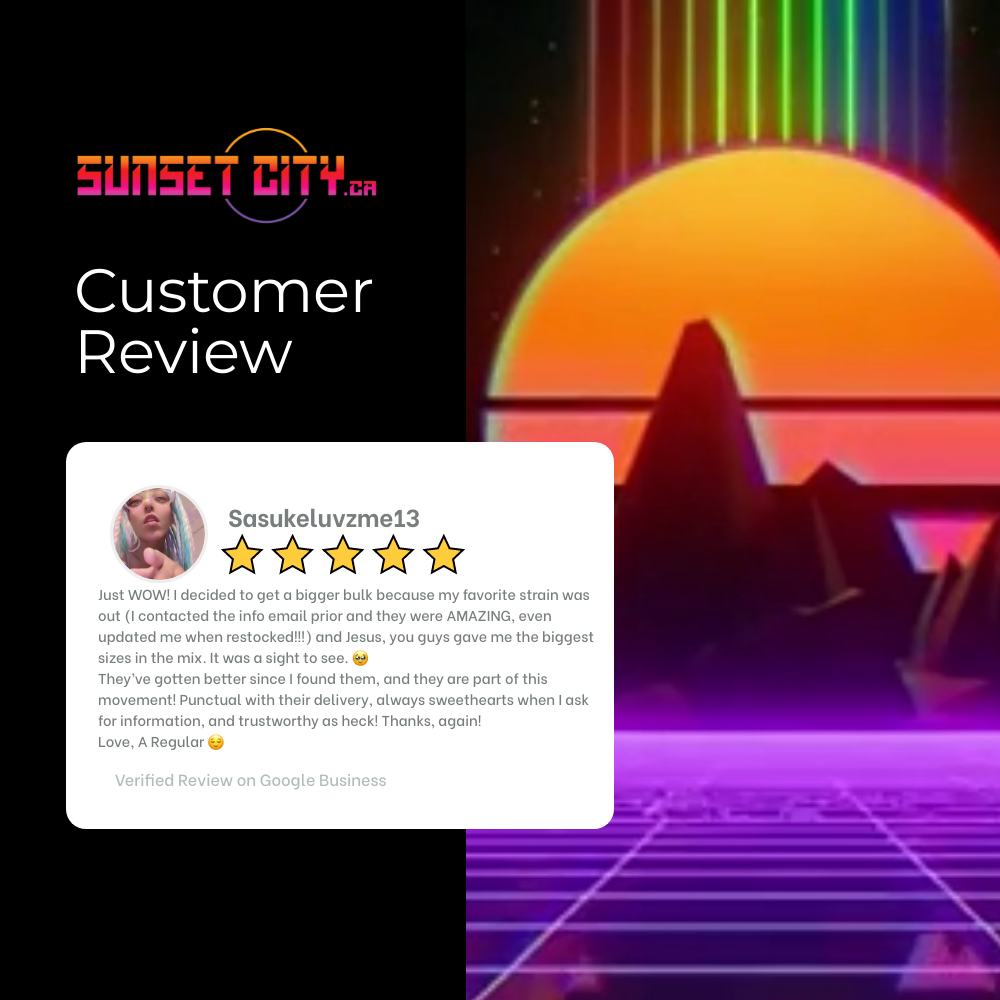 Avis sur sunsetcity