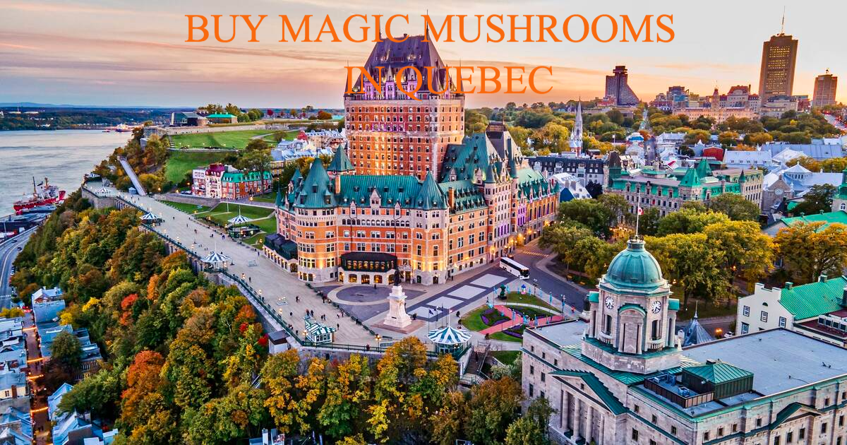 magie+champignons+montréal