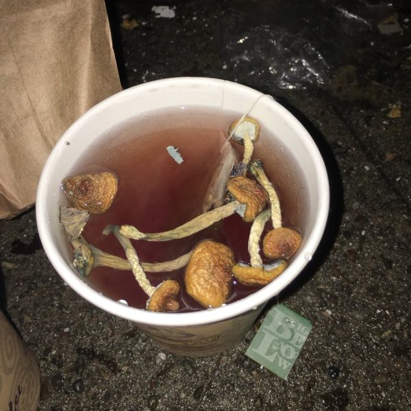 How to Take Magic Mushrooms