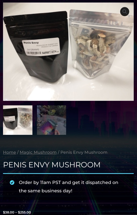 penis+envy+mushroom