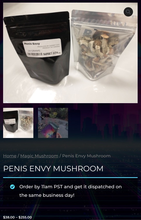 envie de pénis + champignon pénis+envie+champignon
