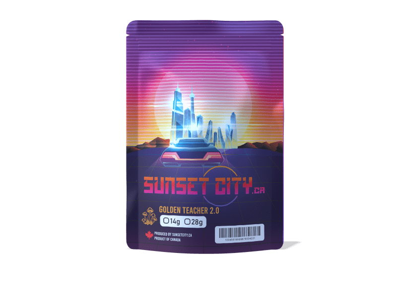 sunset+city+mushrooms