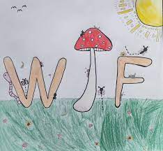 Wtf-champignons